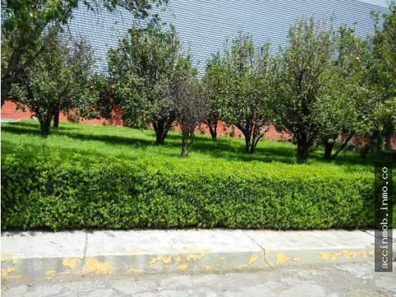 Terreno en Venta Barrio Texcacoa Tepotzotlan - 1