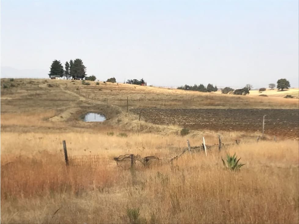 VENTA TERRENO SN MIGUEL CAÑADAS CONOCIDA COMO LOMA DE LOS CABALLOS TEPOTZOTLAN - 1