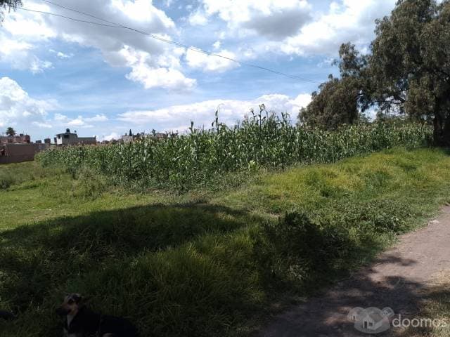 TERRENO EN VENTA - 1