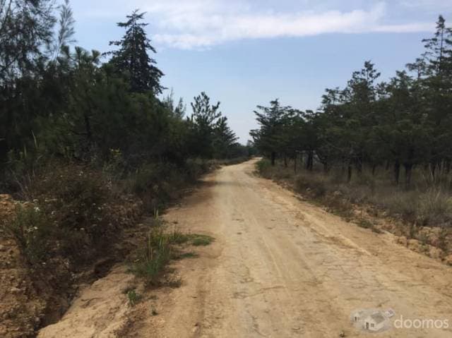 SE VENDE TERRENO EN TEQUEXQUINAHUAC - 1