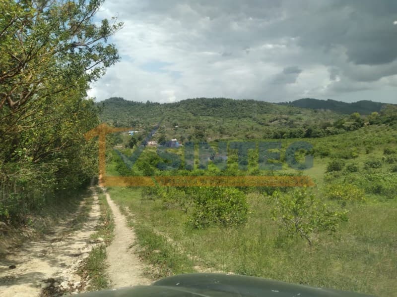 VENTA DE TERRENO 18 HECTAREAS COL. ESCOLIN, PAPANTLA, Xanath 2 - 1