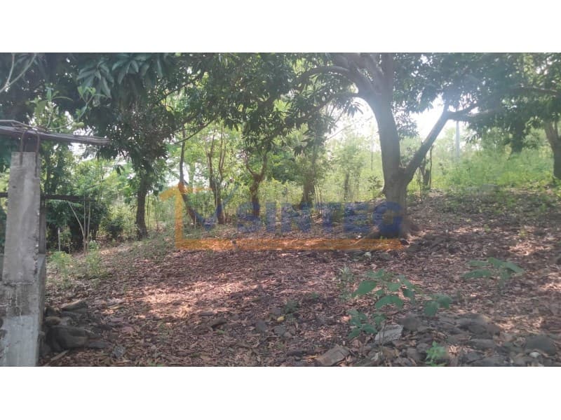 VENTA TERRENO223.56 M2 SAN MIGUEL MECATEPEC, TIHUATLAN, San Miguel Mecatepec - 1
