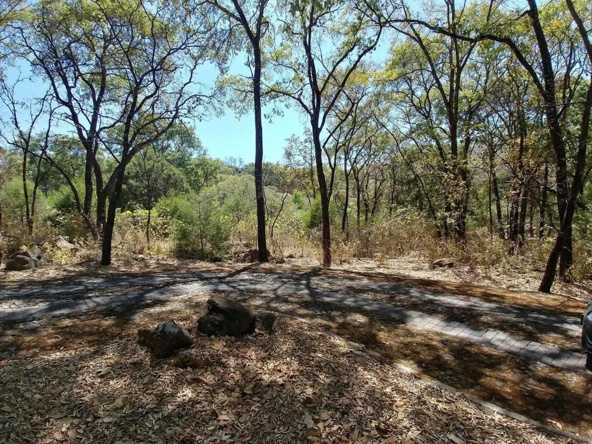 RESERVA DE LOS ENCINOS, LOTE 4 TEUCHITLAN JALISCO - 1