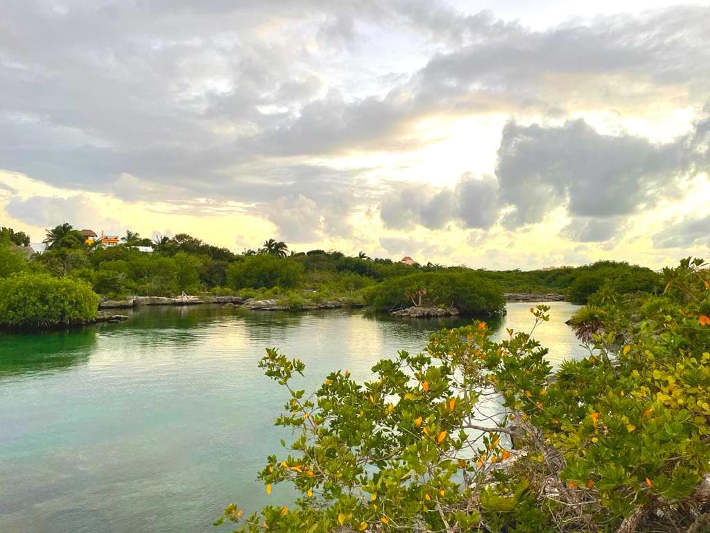 Terreno residencial en Venta en Akumal Riviera Maya - 1