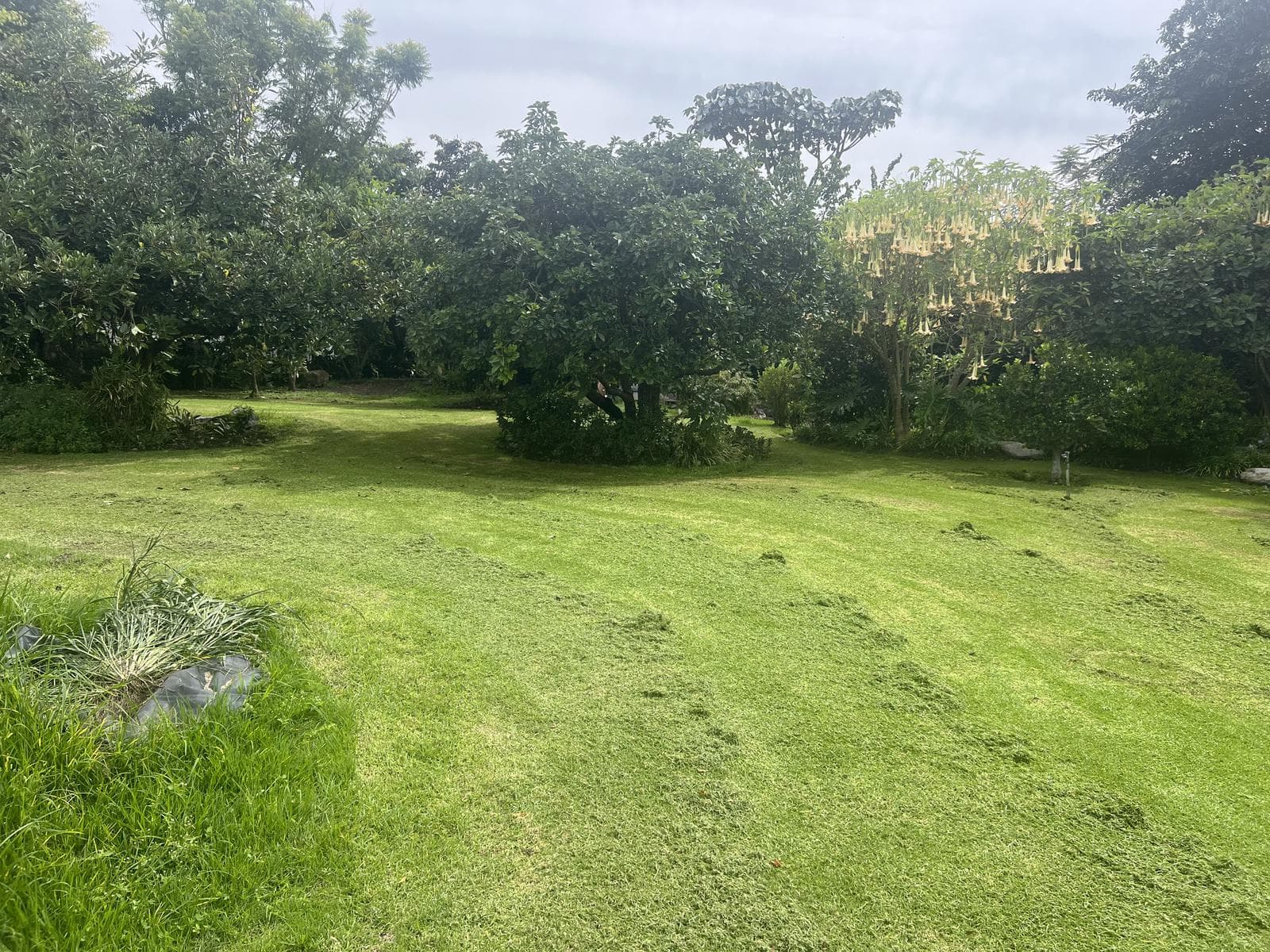 Tumbaco terreno de venta sector Hilacril - 1