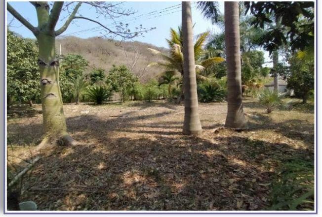 Venta de Terreno en Jalcomulco - 1