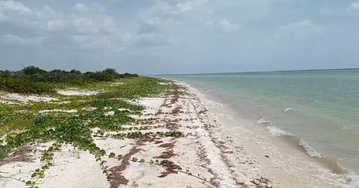 TERRENO EN VENTA EN CELESTUN A ORILLA DE LA PLAYA - 1