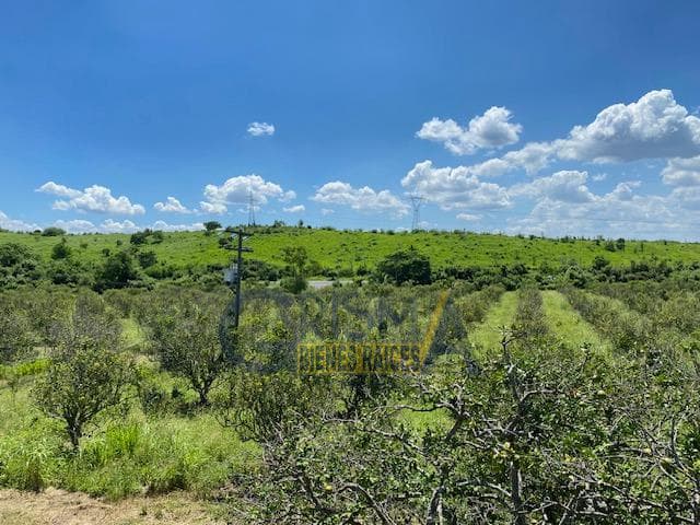 PRECIOSO RANCHO AGRÍCOLA EN CARRETERA A TEPETZINTLA - 1