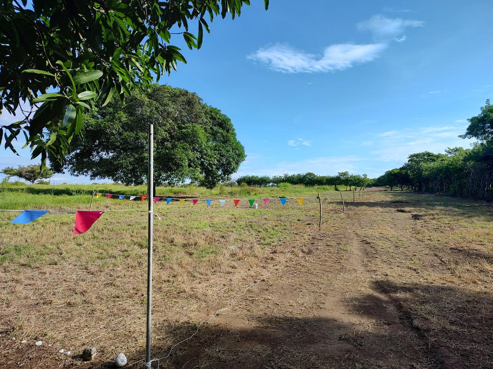 Terrenos/Lotes Crédito y Contado en Mata Loma, Veracruz - 1