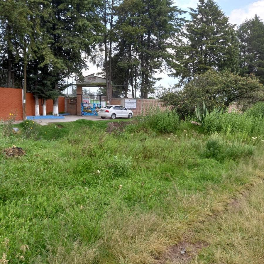 TERRENO EN VENTA EN ALMOLOYA DE JUAREZ - 1