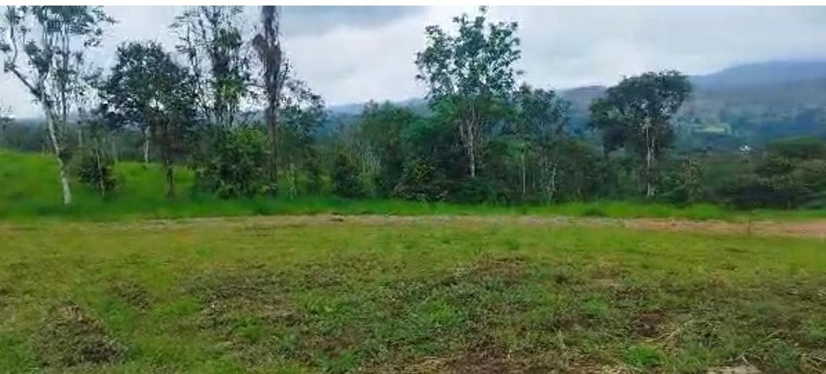 SAN MIGUEL DE LOS BANCOS TERRENO DE VENTA - 1