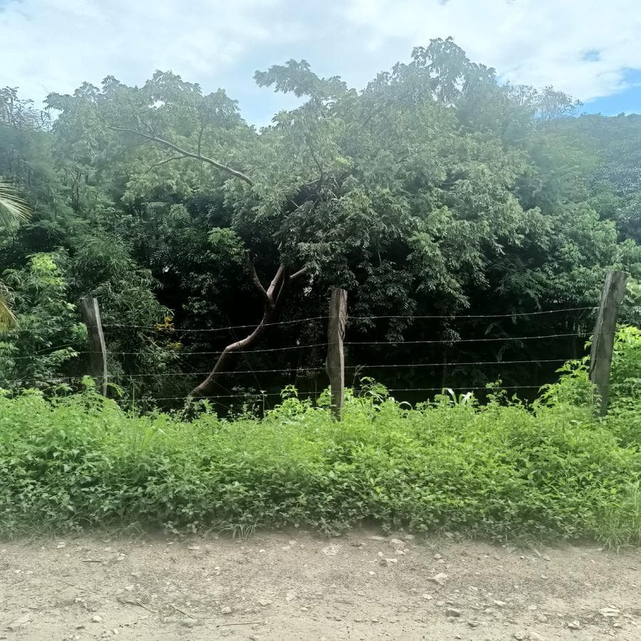 Terreno - Jalcomulco - 1