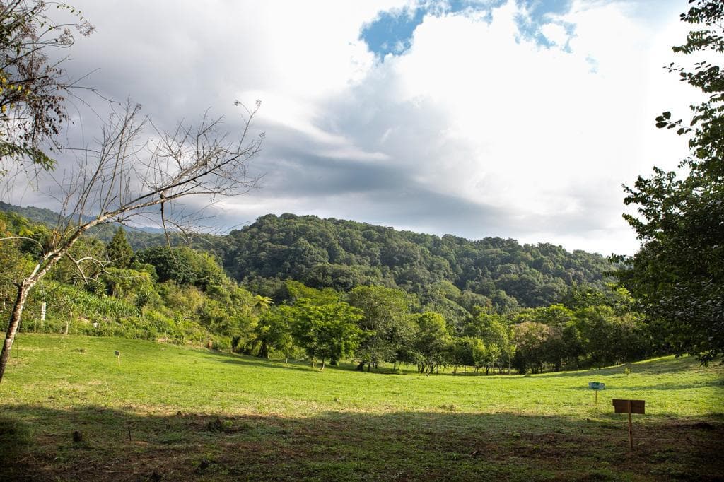 ESPACIO CAMPESTRE - 1