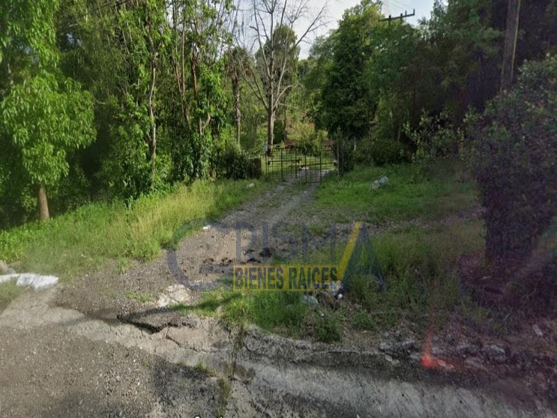 RANCHO CON TODAS LAS INSTALACIONES DE UNA EMPACADORA DE LIMÓN. - 1
