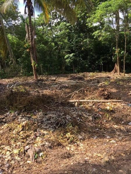 TERRENO EN VENTA - 1