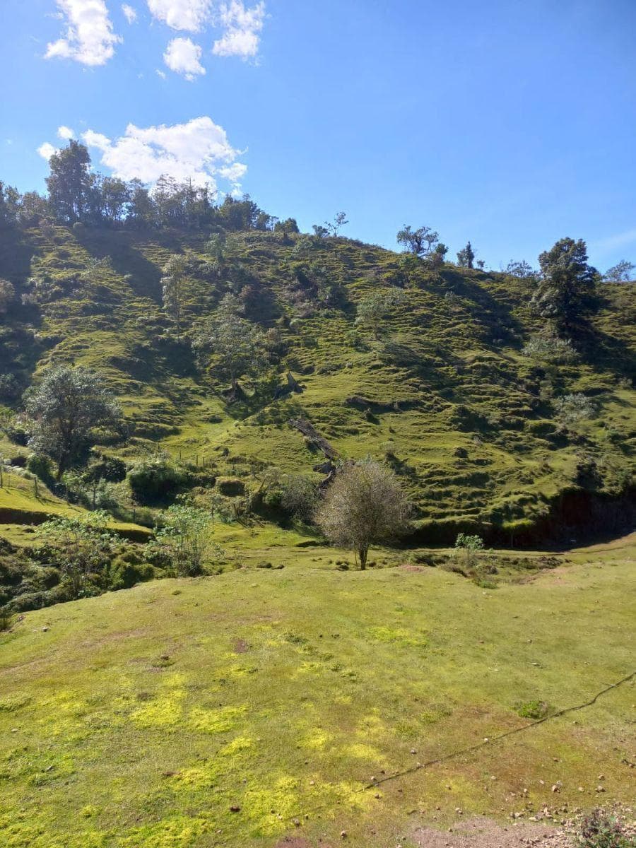 Terreno en venta en la zona de Teziutlán - 1