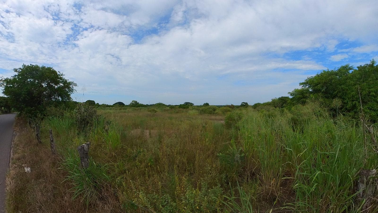 TERRENO EN VENTA EN MANLIO FABIO ALTAMIRANO - 1