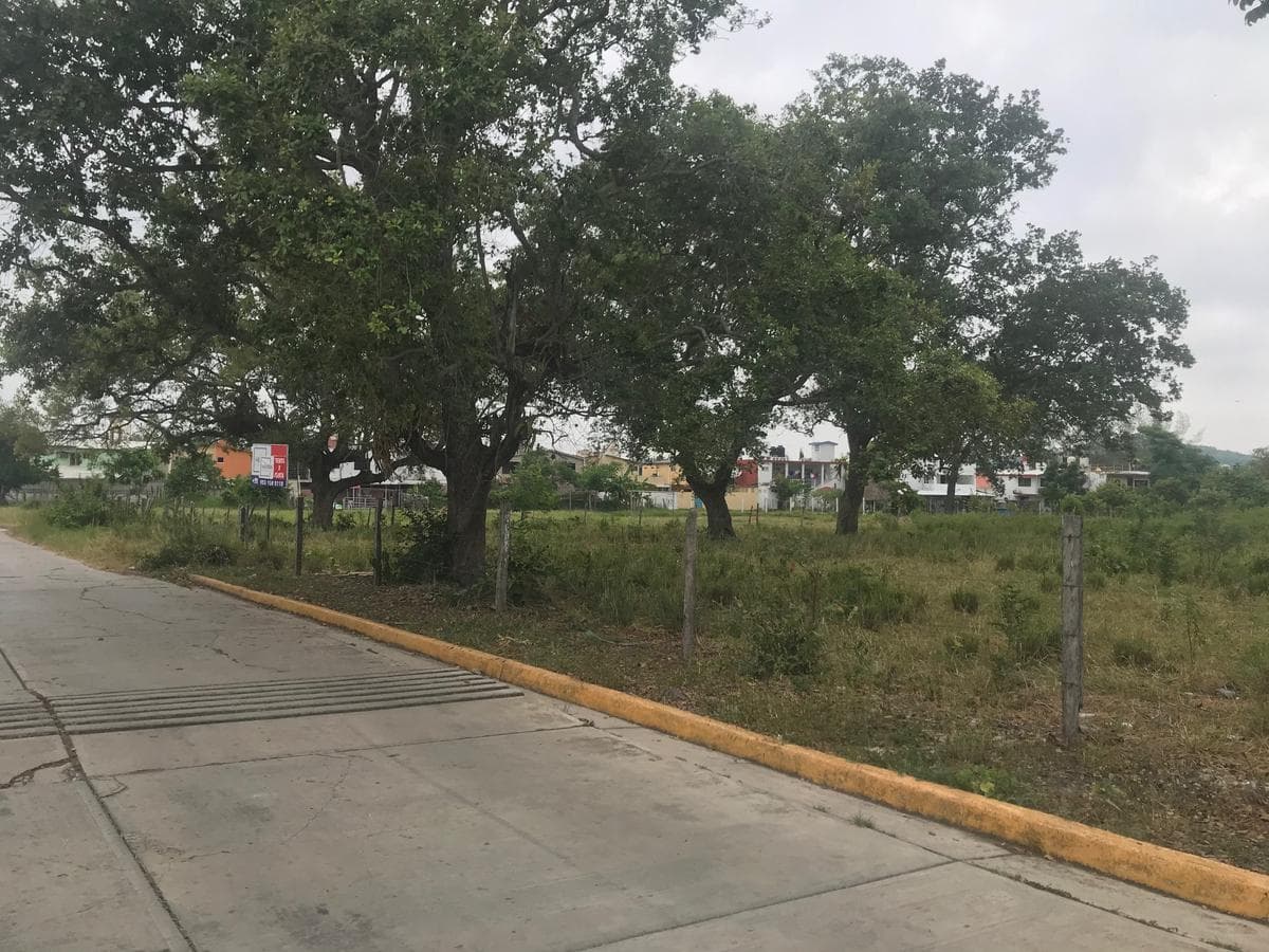 TERRENO EN VENTA EN NARANJOS EN EXCELENTE UBICACIÓN - 1