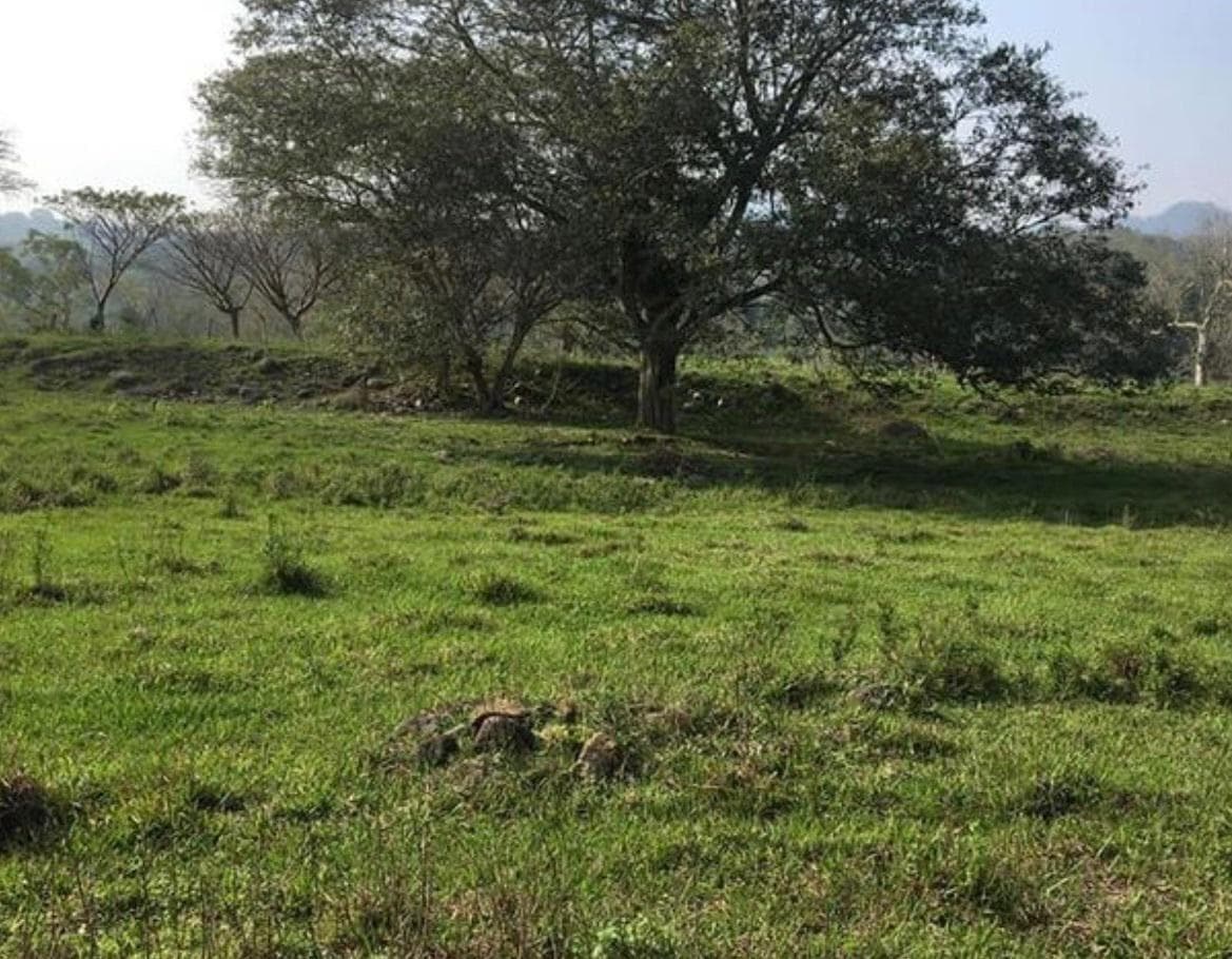 TERRENO EN VENTA MISANTLA, PLAN DE LA VEGA - 1