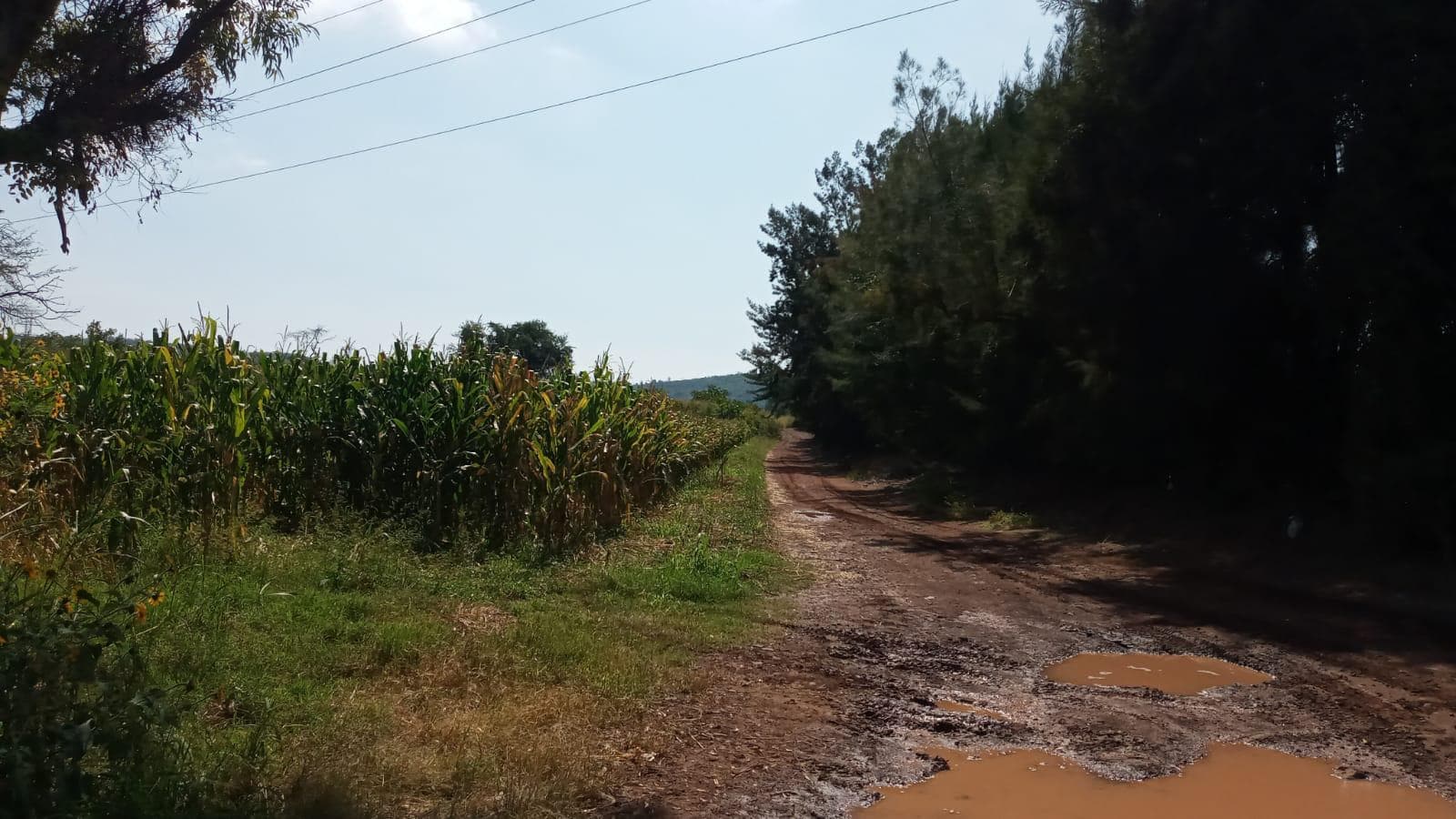 TERRENO IXTLAHUACAN DE LOS MEMBRILLOS - 1