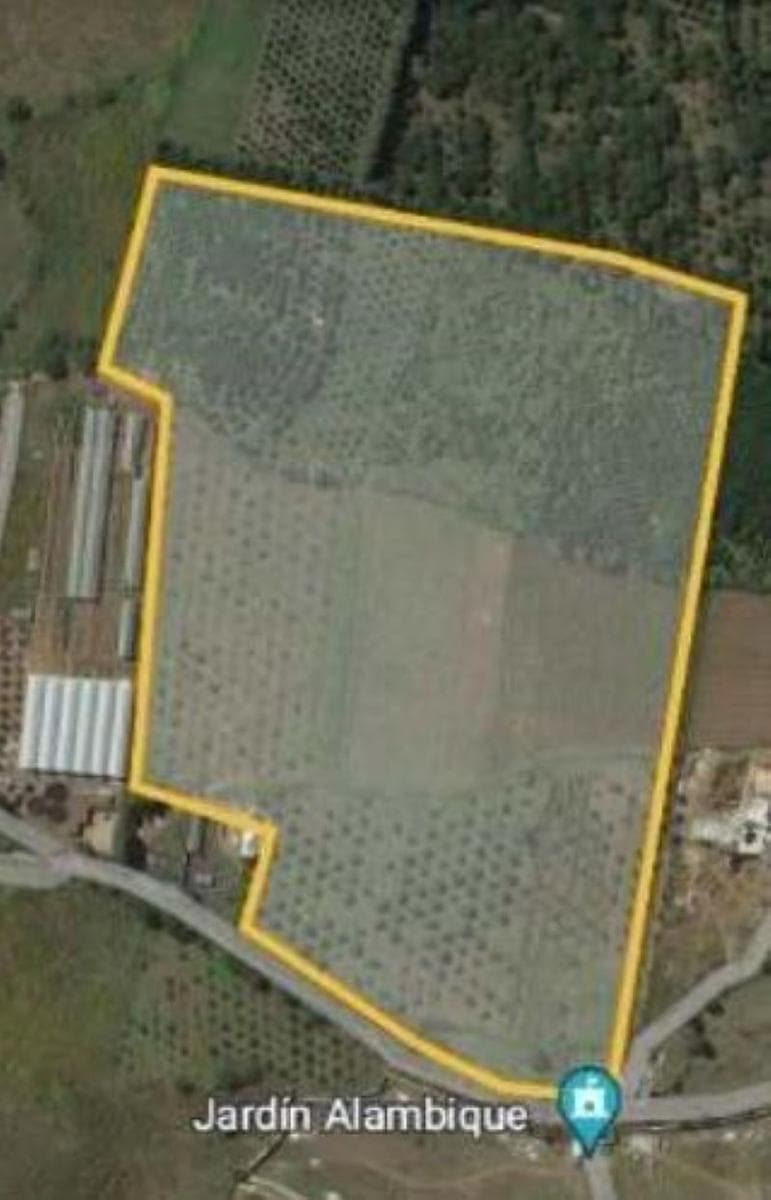 Terreno en venta en Malinalco Estado de México - 1