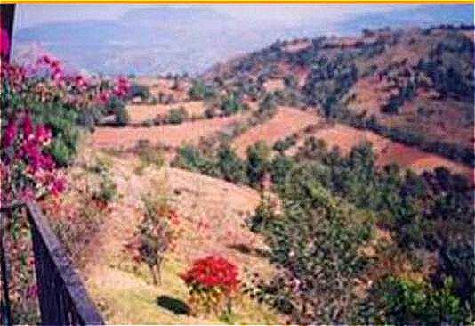 Rancho en Venta en Tenancingo estado de Mexico ALRZ7733 - 1