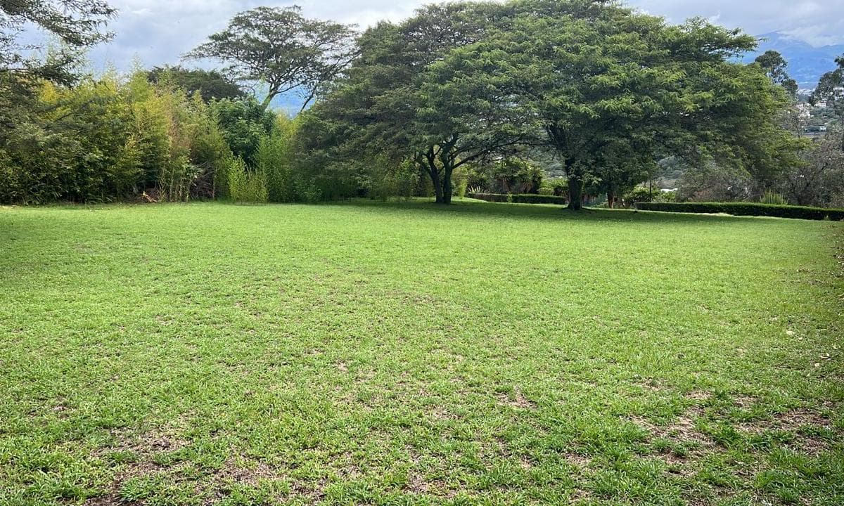 CUMBAYA TERRENO DE VENTA EN URBANIZACION EXCLUSIVA - 1