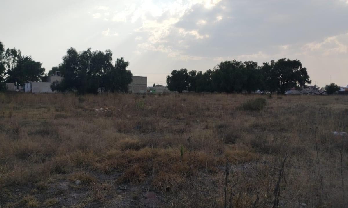 GRAN TERRENO EN VENTA. NEXTLALPAN AV. 20 DE NOVIEMBRE. SUP. 1 HECTÁREA. - 1