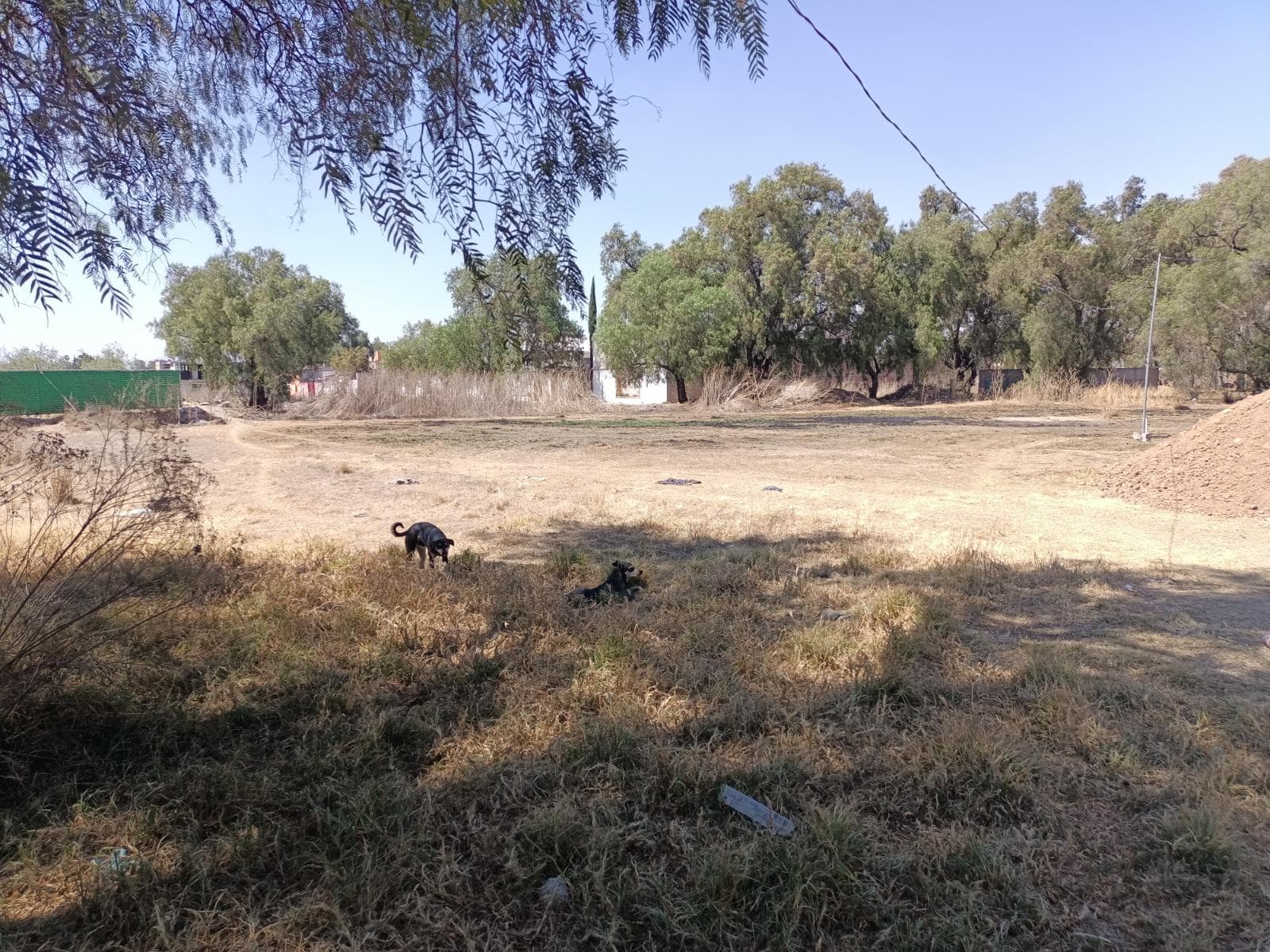 TERRENO A LA VENTA EN PUEBLO DE AMAJAC, CHIAUTLA - 1