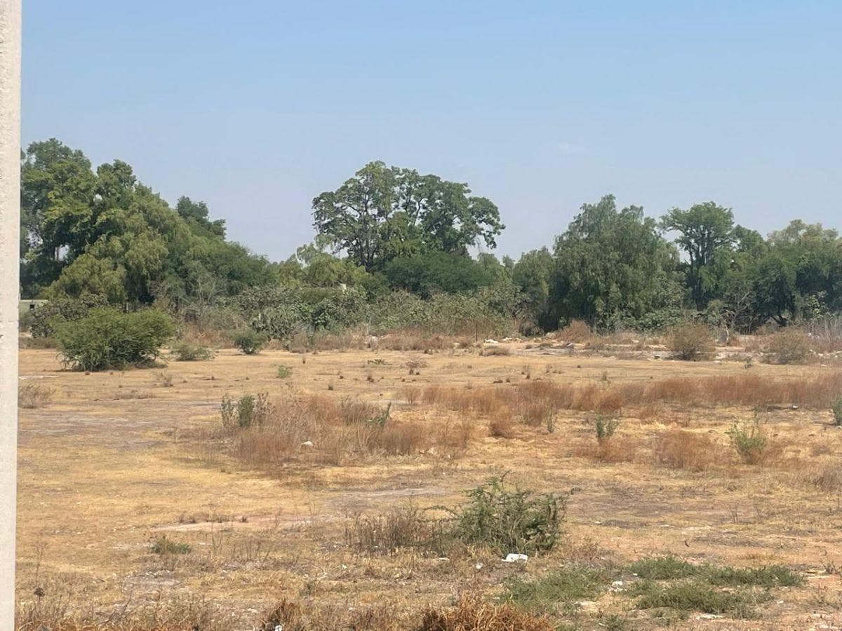Terreno en Venta, El Llano, 11,666 m2 - 1