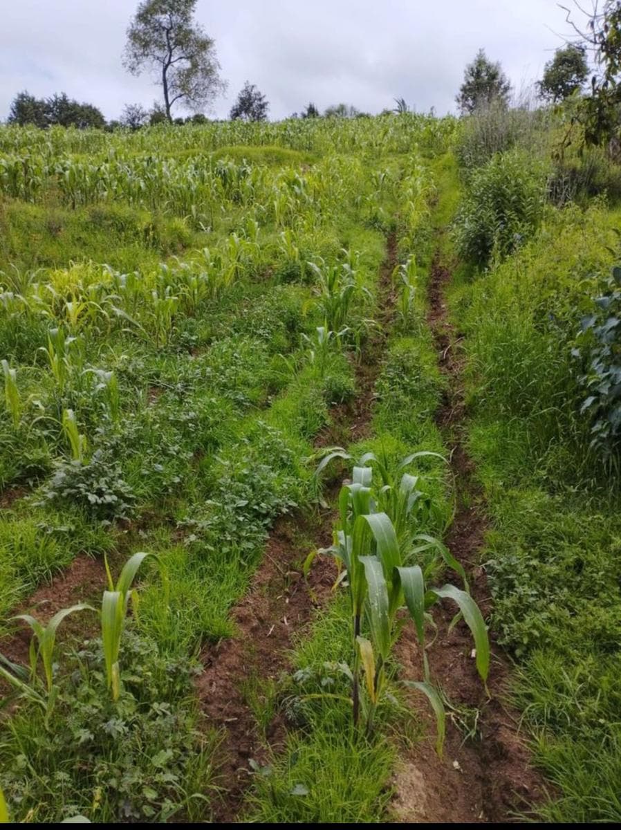 Terreno en Venta Jiquipilco estado de Mexico - 1