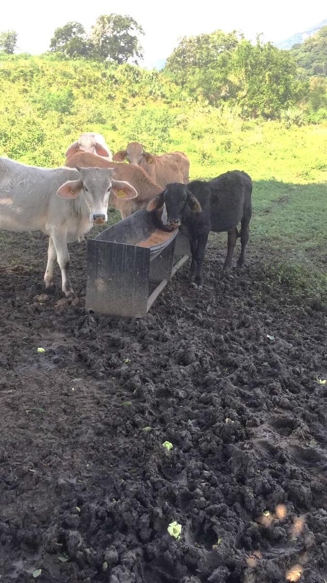 Rancho en Tepetzintla a 47 Km de Tuxpam, Veracruz - 1