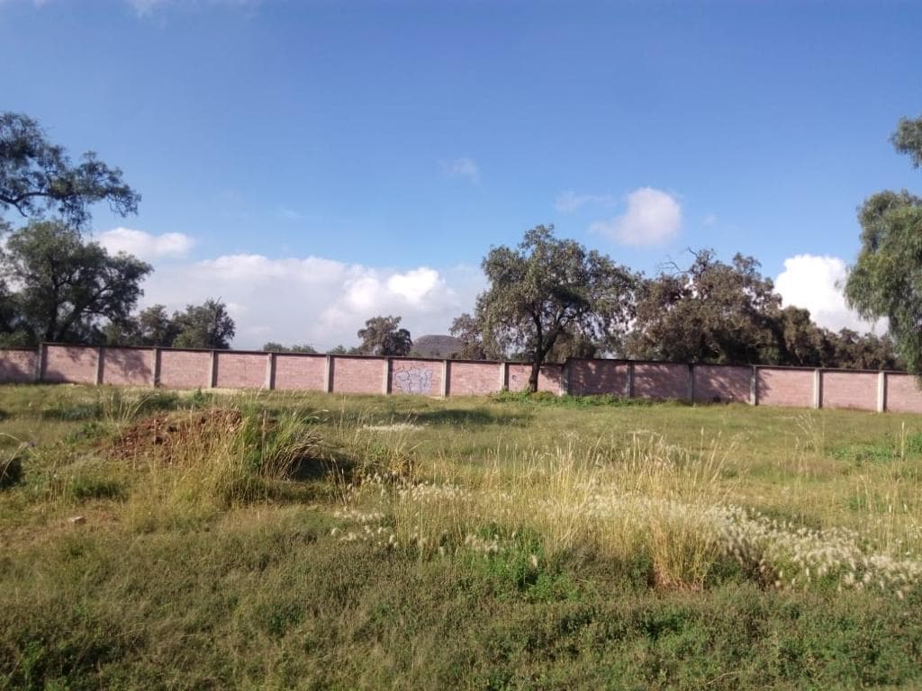 Terreno en VENTA o RENTA en San Martín de las Pirámides - 1