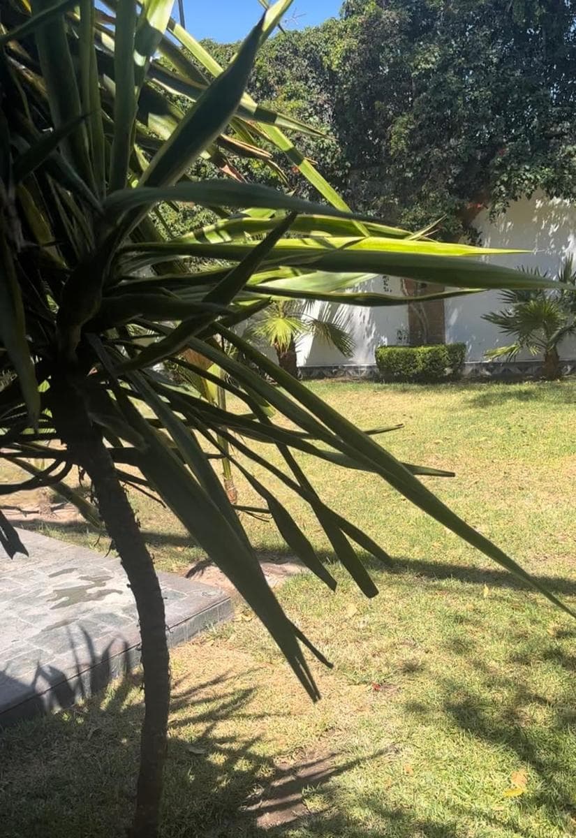 oficinas - 1