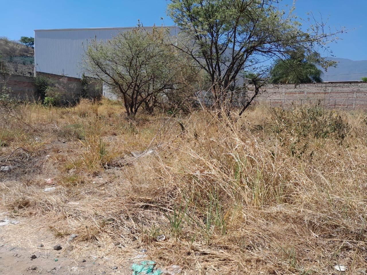 Terreno en tequila - 1