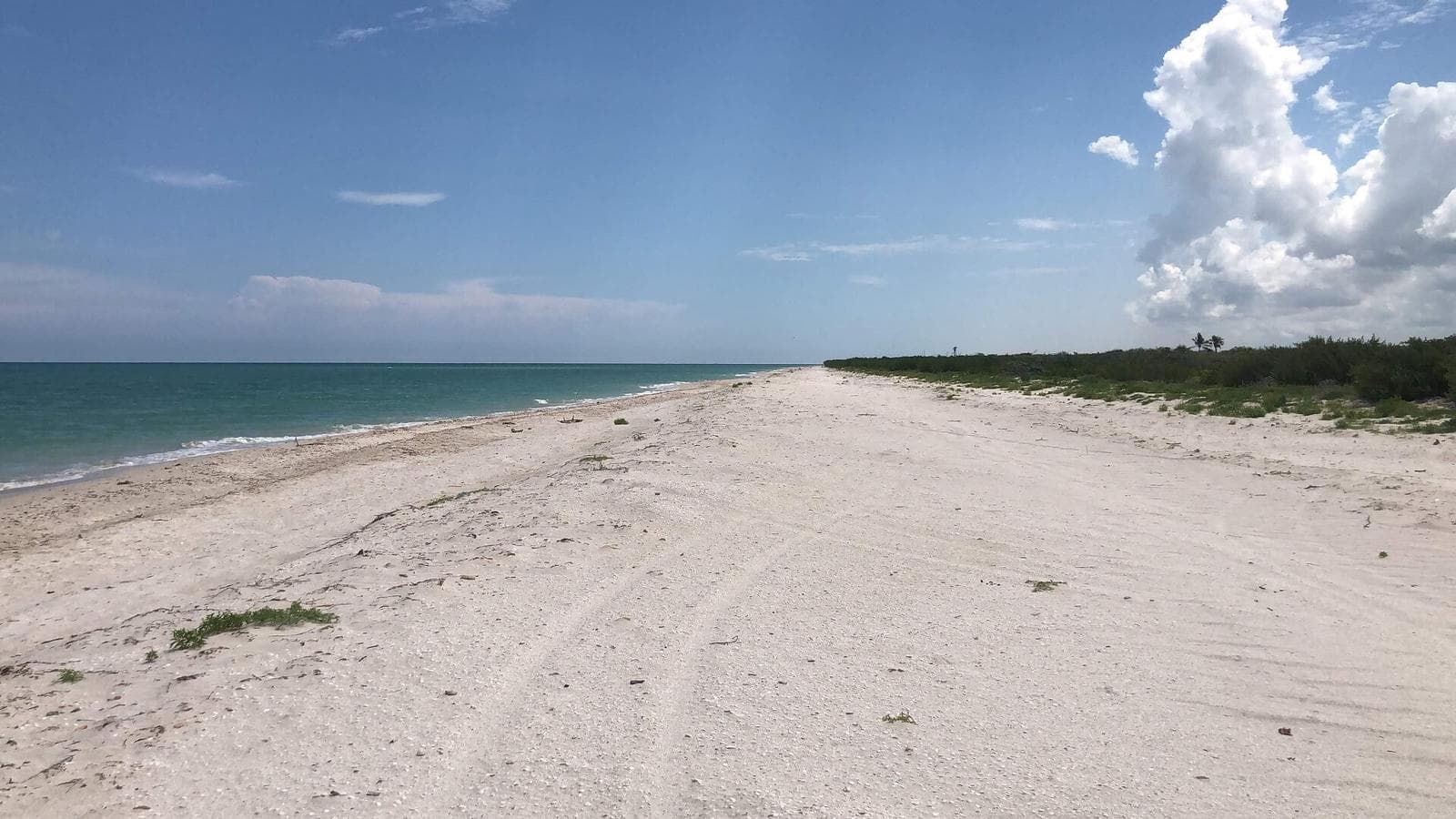 TERRENO I LOTE EN VENTA OPORTUNIDAD DE INVERSIÓN FRENTE AL MAR EN LA PLAYAS DE CELESTÚN, EN YUCATÁN. - 1