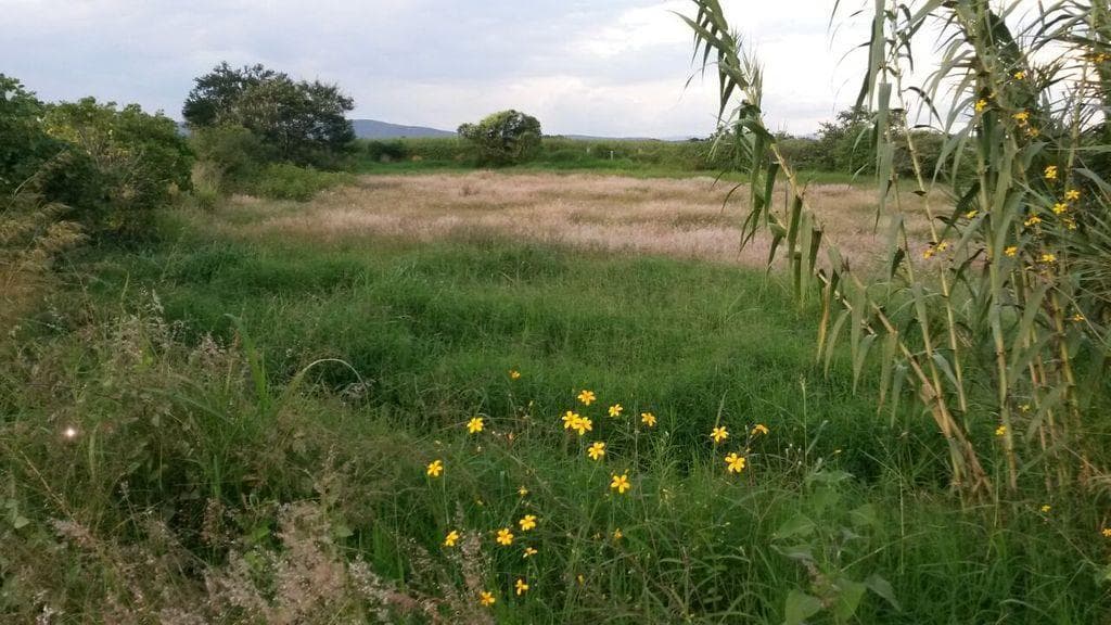 TERRENO EN VENTA ENTRE ATLIXCO E IZUCAR DE MATAMOROS - 1