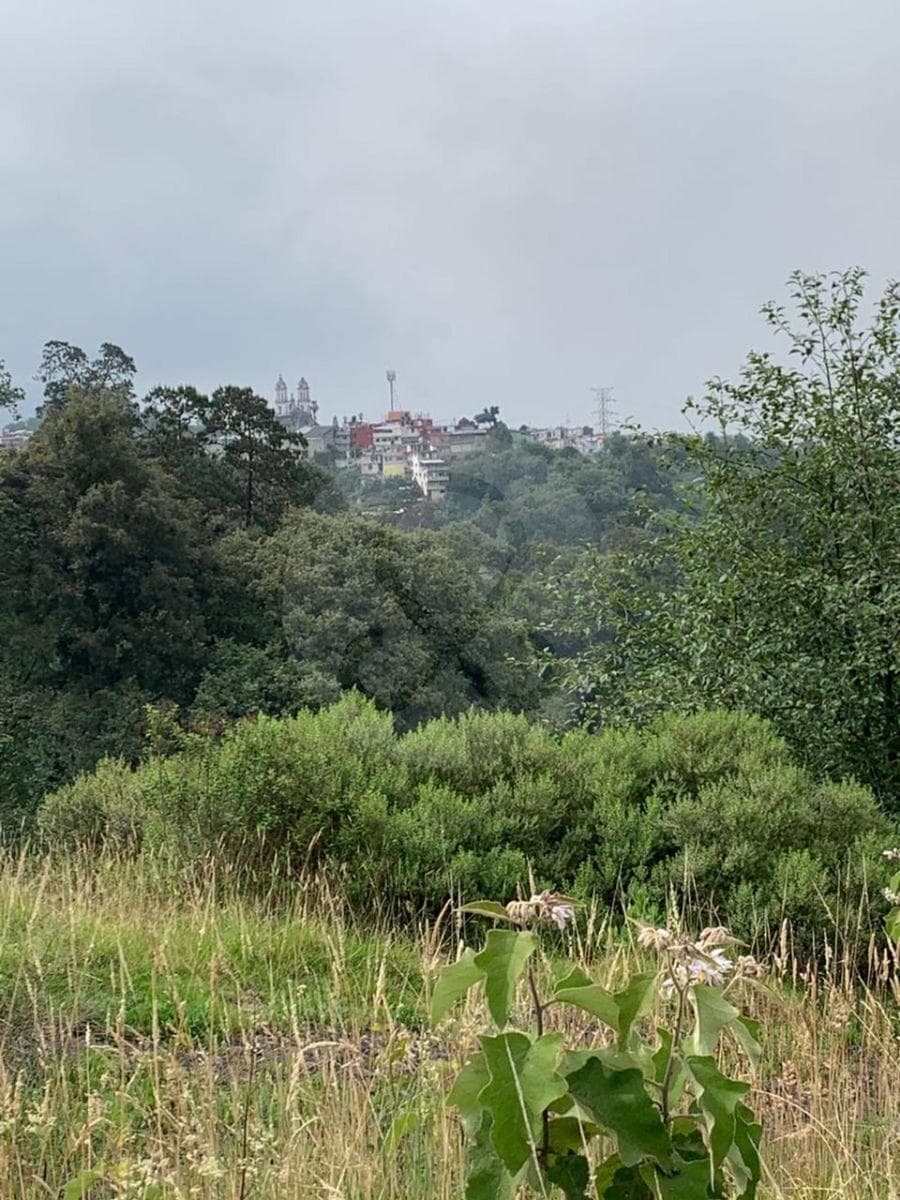 TERRENO EN VENTA, TEZIUTLAN PUEBLA - 1