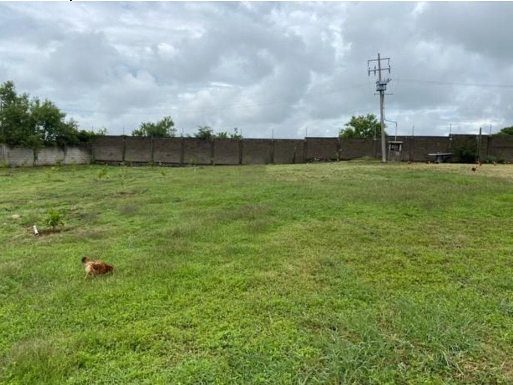 Terreno en Venta Ocuituco, Morelos, con sistema de almacenamiento pluvial. - 1