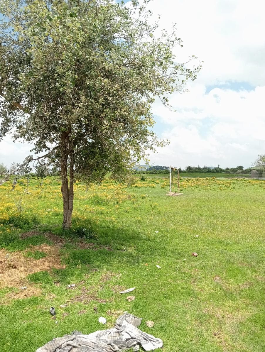 Se venden Lotes de Terrrenos de 200 metros - 1
