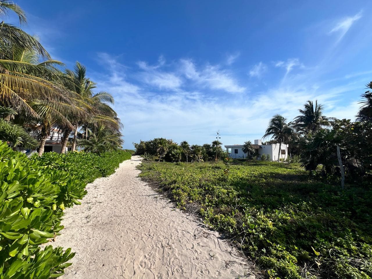 Terreno Frente al Mar en las Paradisíacas Playas de El Cuyo, Yucatán - 1