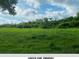 Terreno en venta, Rancho de 116.8 ha. en zona Manlio Fabio Altamirano, Veracruz - 1