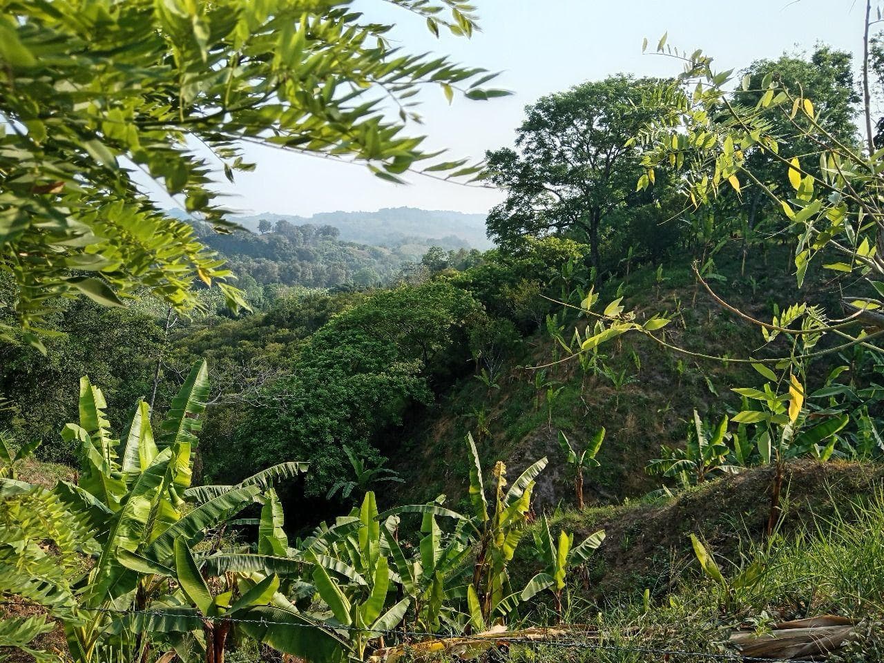 TERRENO SUBURBANO - 1
