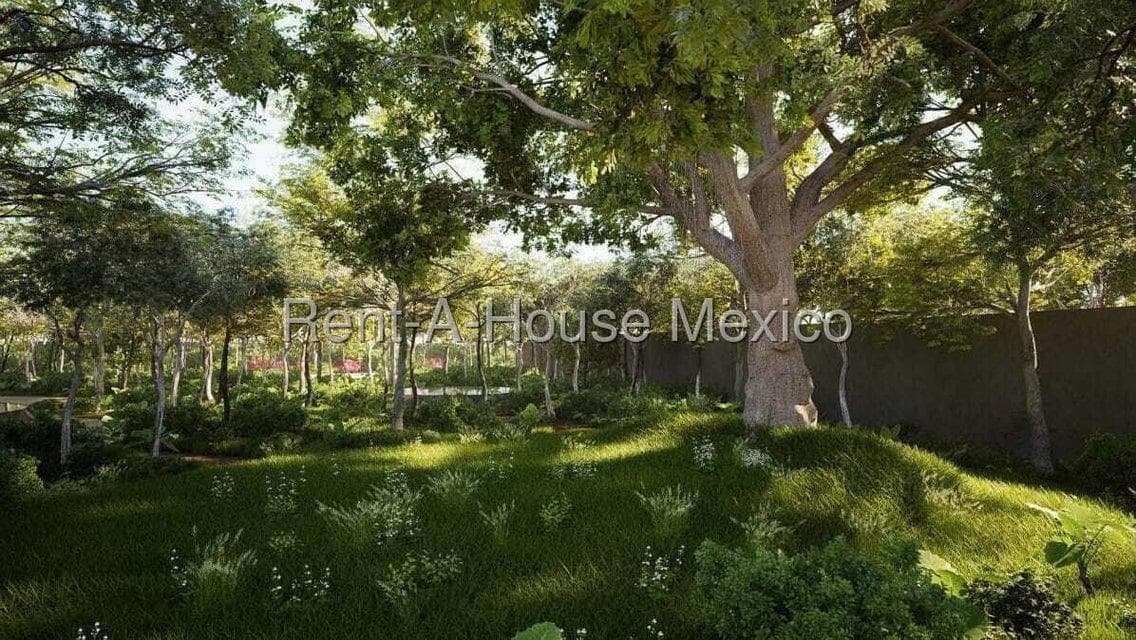 Terreno en Venta en Pueblo de Celestun, Celestun JL 25-2656. - 1