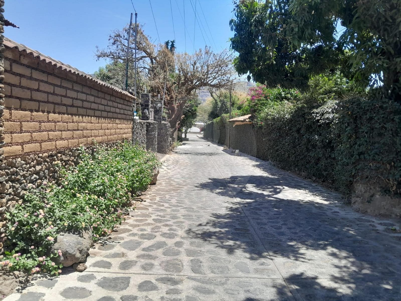 Venta Terreno Residencial - 1