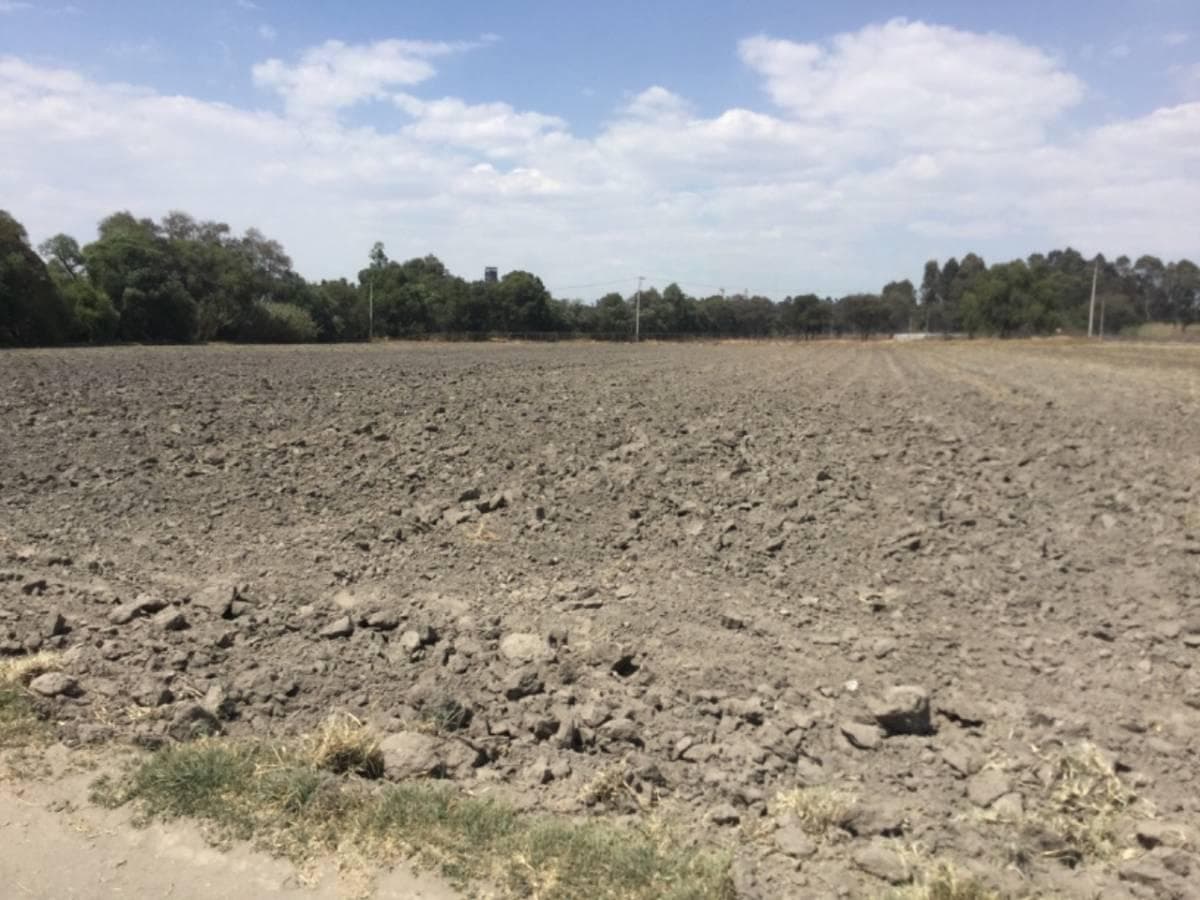 VENTA TERRENO RUSTICO, SAN MIGUEL XOXTLA ATRAS DE TERNIUM - 1