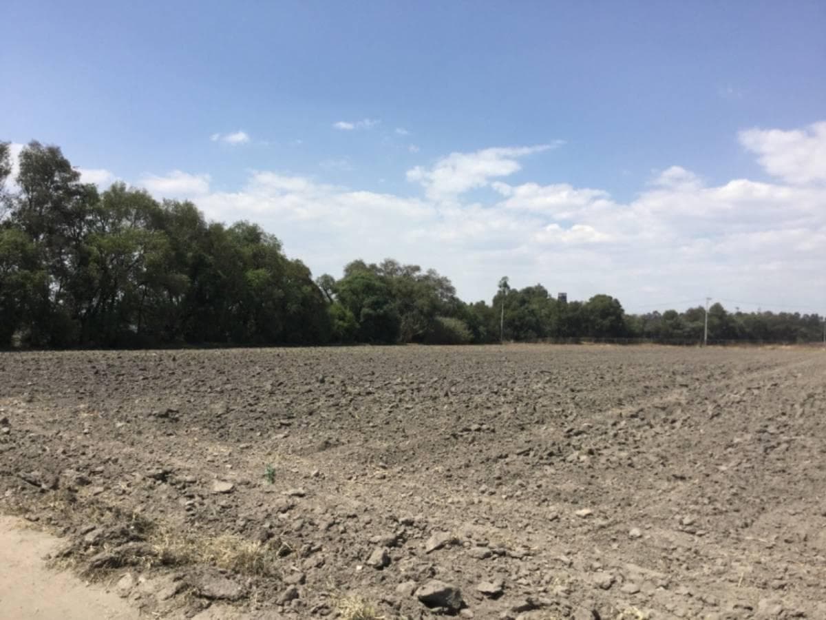 VENTA DE TERRENO, EN SAN MIGUEL XOXTLA ATRAS DE TERNIUM - 1
