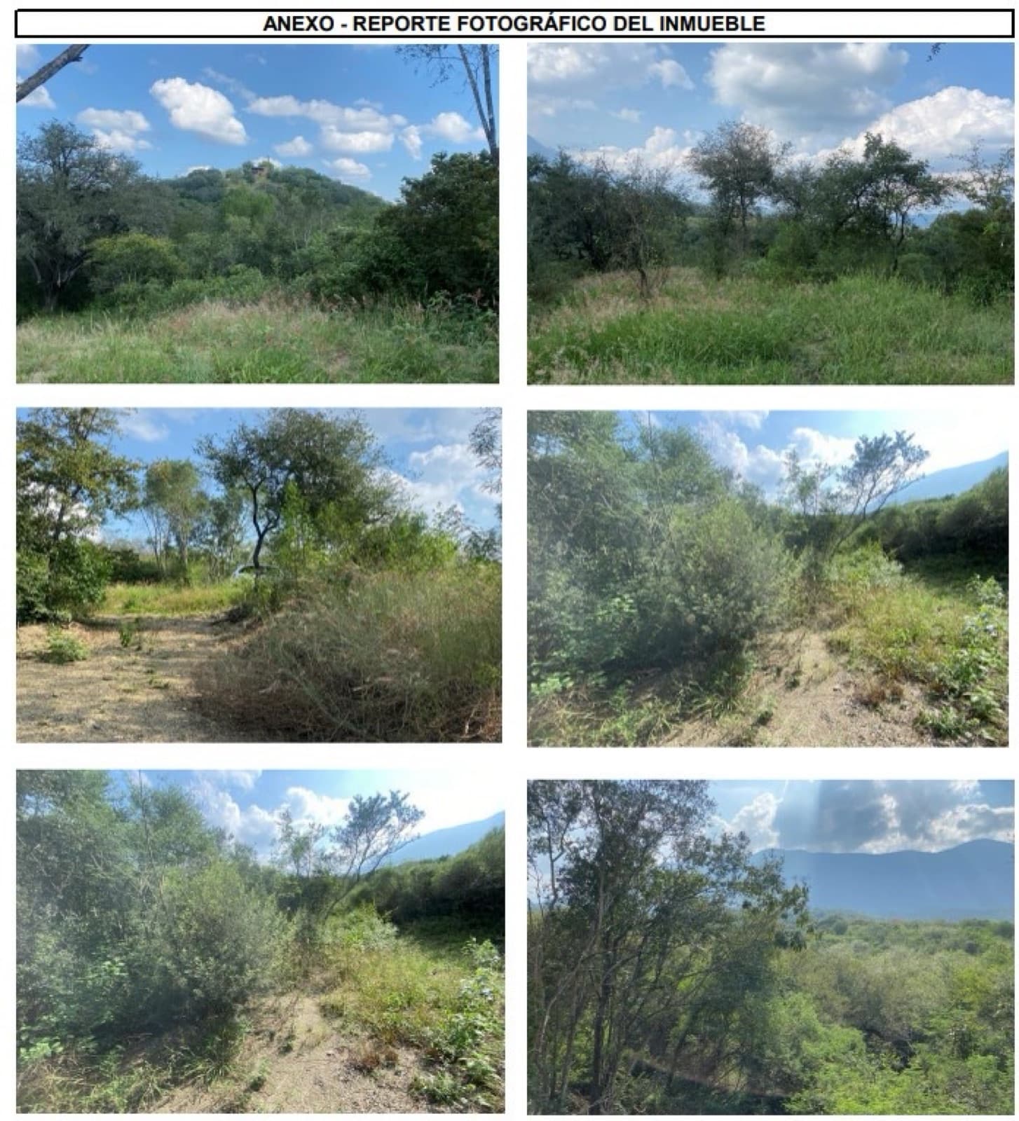 Terreno - Allende - 1