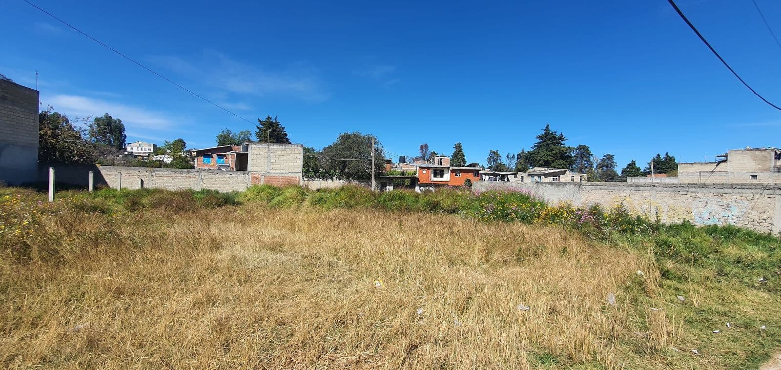 Terreno - Almoloya de Juárez - 1