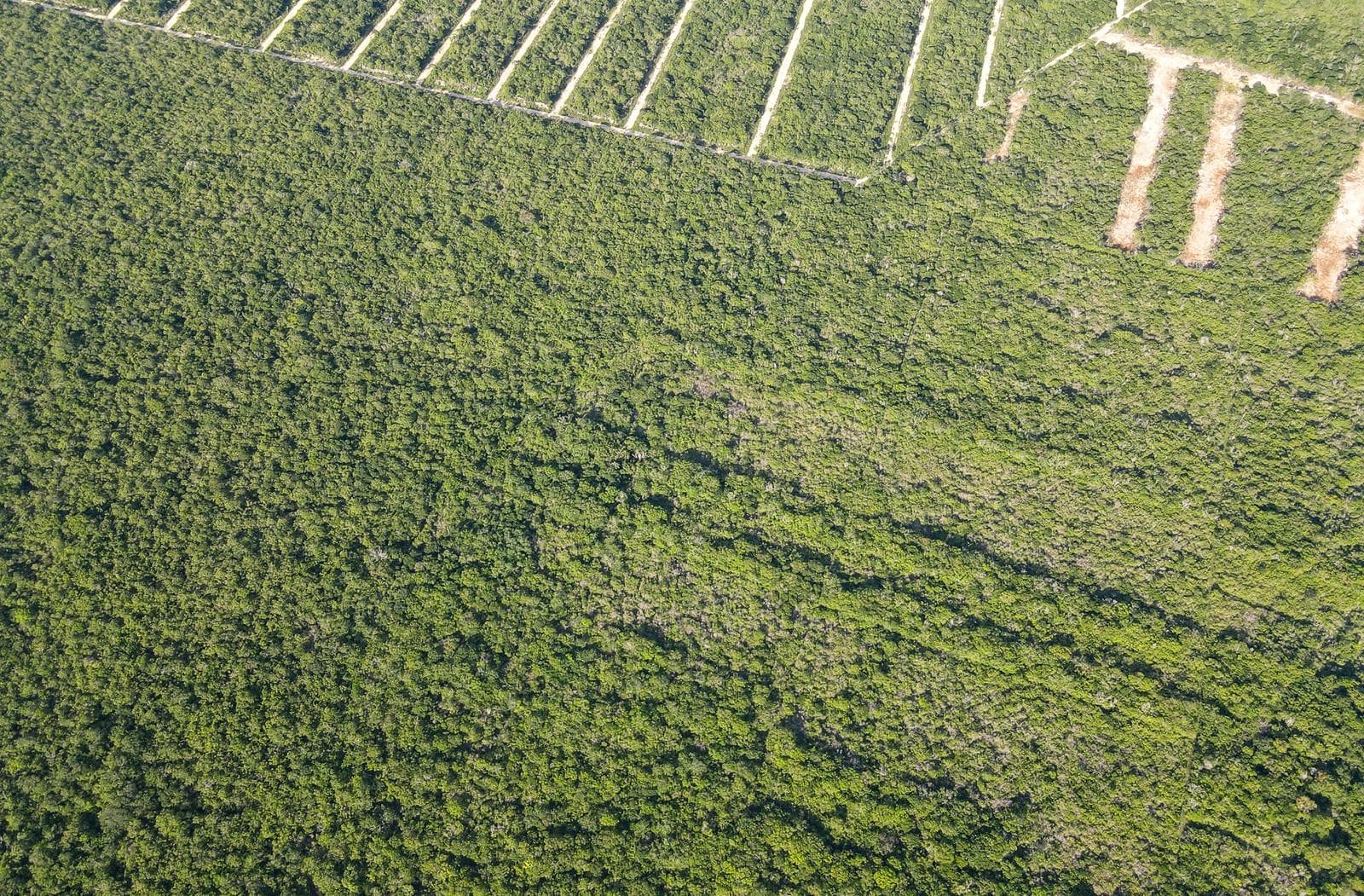 Terreno en Pueblo Tixkuncheil - 1